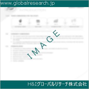グローバルリサーチ調査資料のイメージ